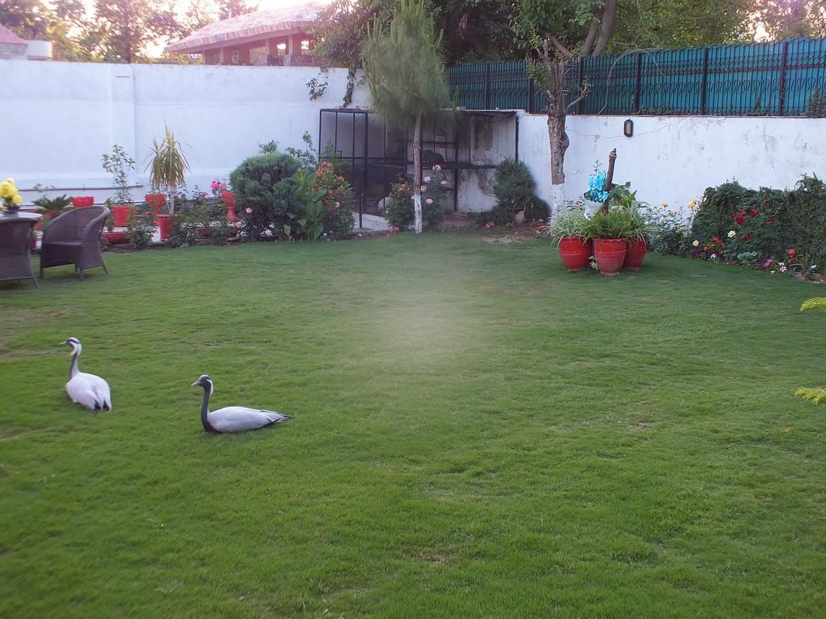 Capetown Guest House Islamabad Bagian luar foto